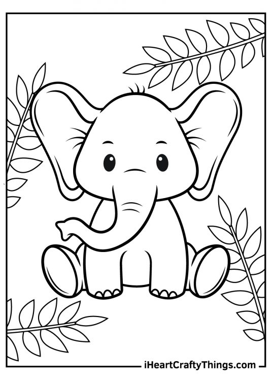 Baby Animals Coloring Pages