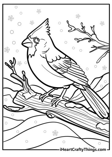Cardinal coloring pages