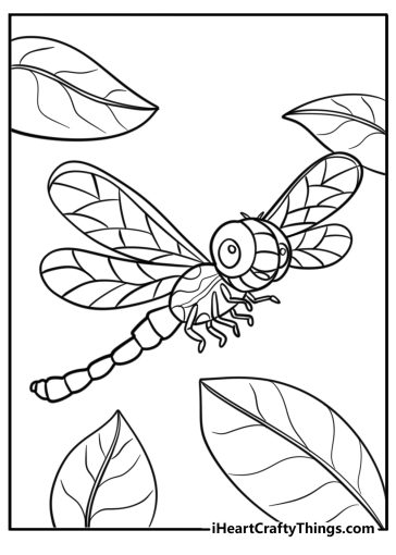 Dragonfly coloring pages