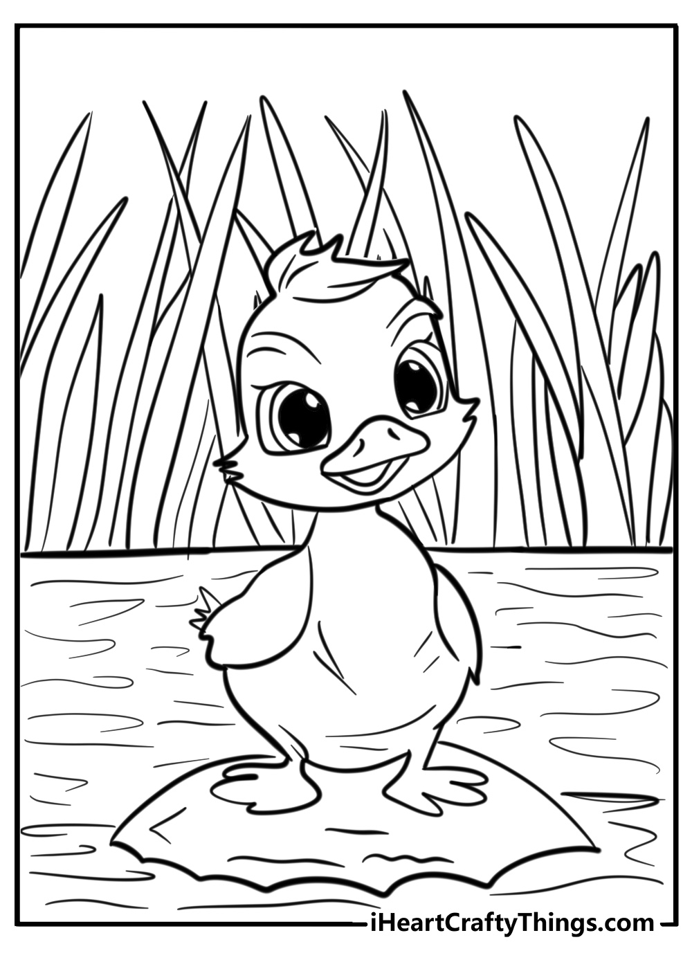 Ducks coloring pages