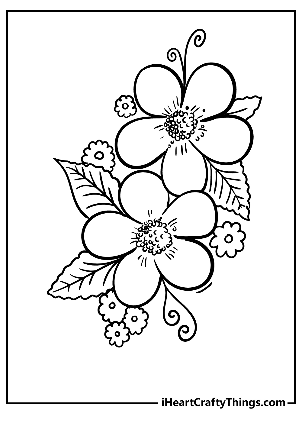 Flower coloring page with two blossoms and leaves