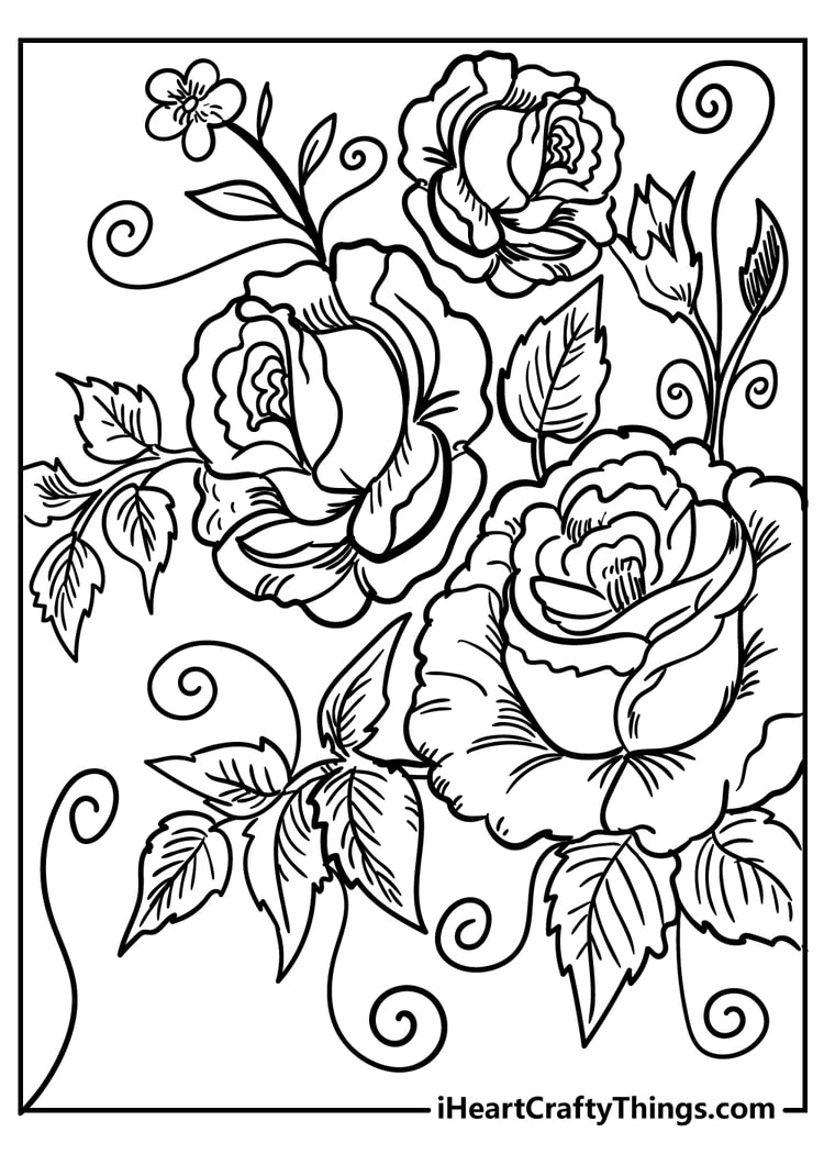Detailed roses and leaves floral pattern coloring sheet