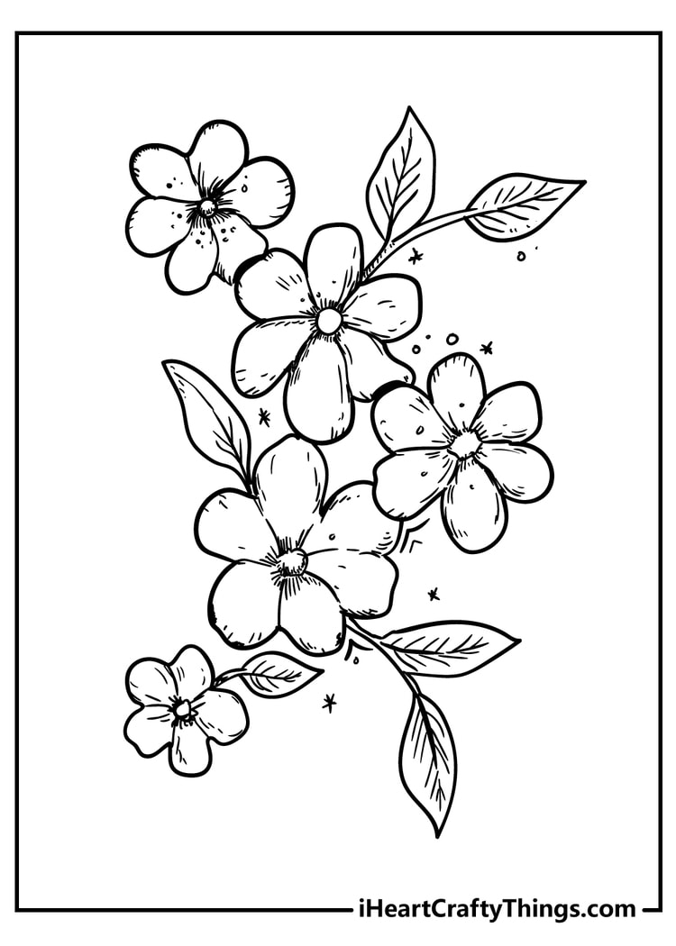 Detailed flower bouquet coloring page for adults printable pdf