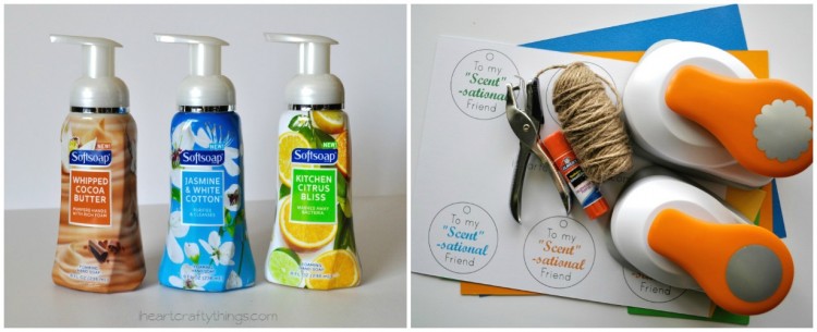 Foaming Hand Soap Friend Gift Supplies Collage