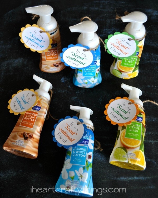 Foaming Hand Wash Friend Gift 2