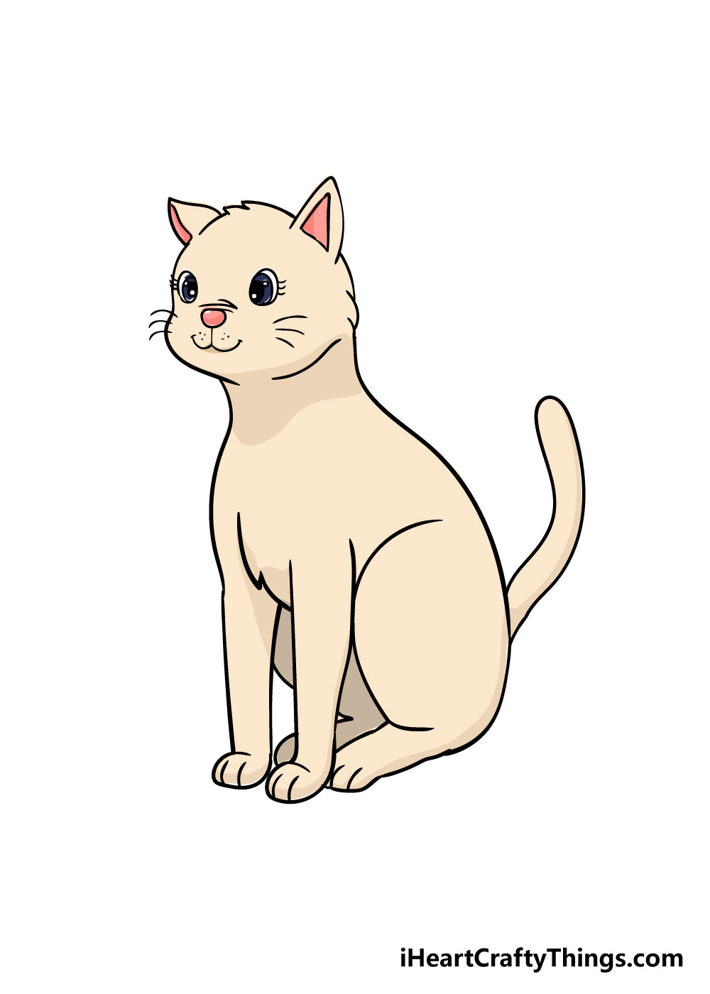 cat drawing step 9