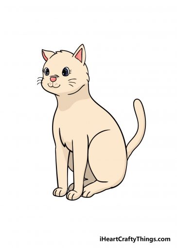 how to draw cat image
