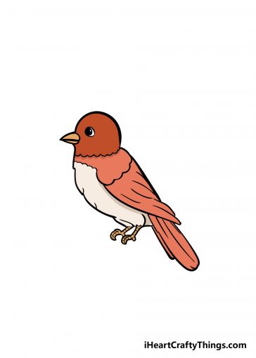 how to draw bird image