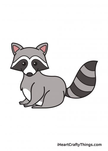 how to draw raccoon image