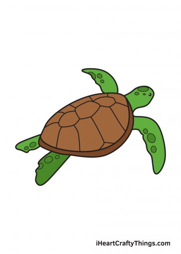 How to Draw Sea Turtle Image