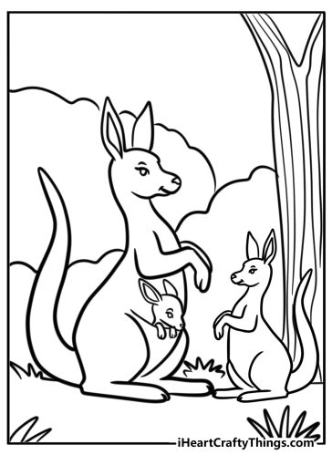 Kangaroo coloring pages
