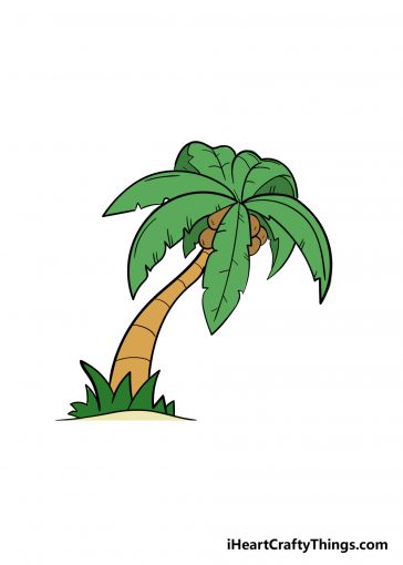 how to draw palm tree image