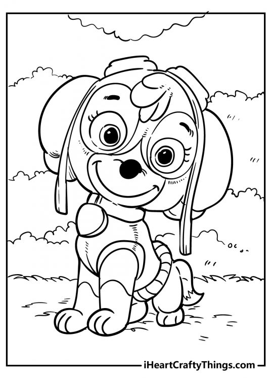 60 Paw Patrol Coloring Pages