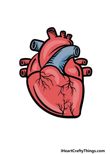 how to draw a cartoon heart image