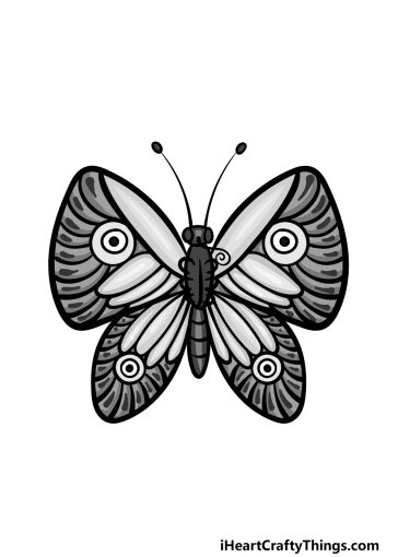 how to draw a Sketch Butterfly image