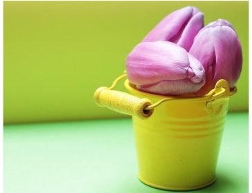 purple and yellow background