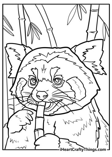 Red panda coloring pages
