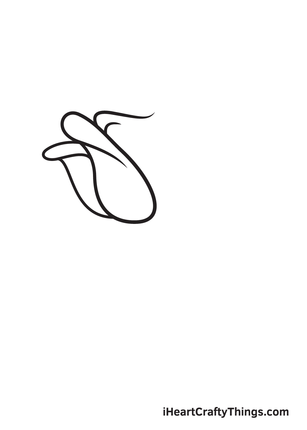 rose drawing step 3