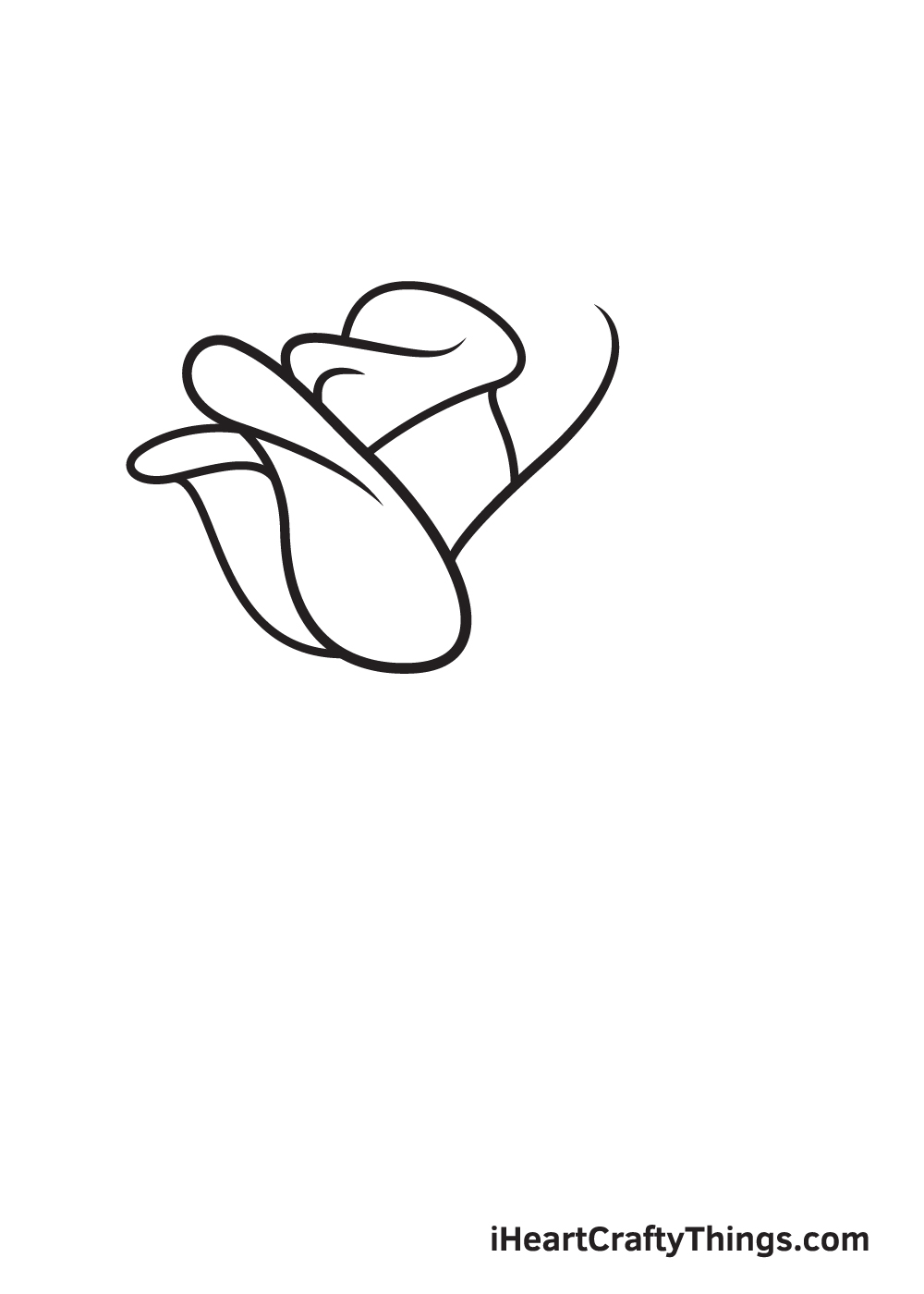 rose drawing step 4