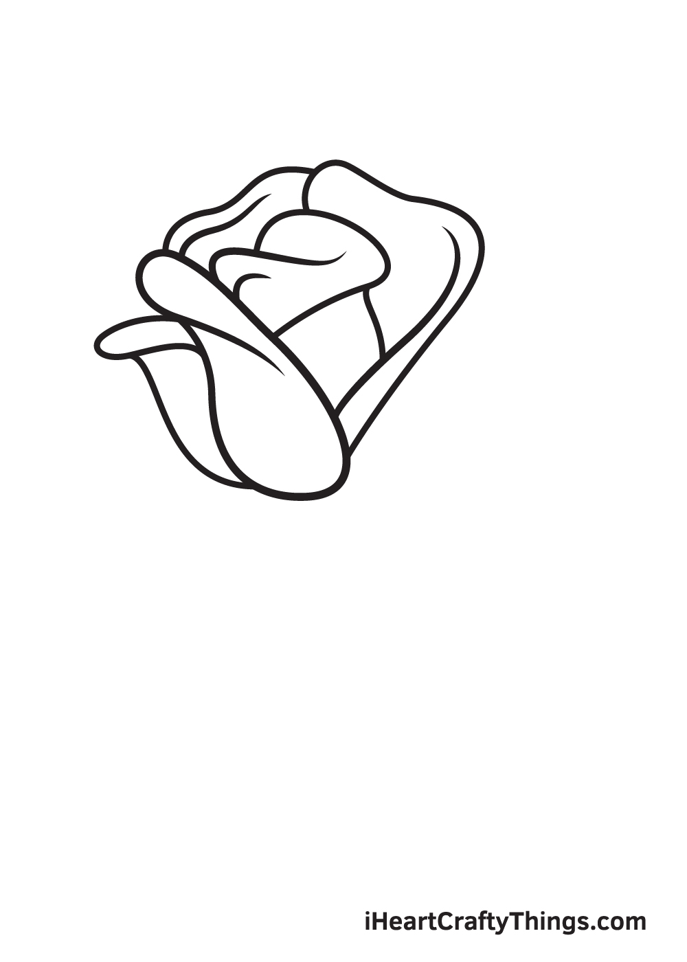 rose drawing step 6