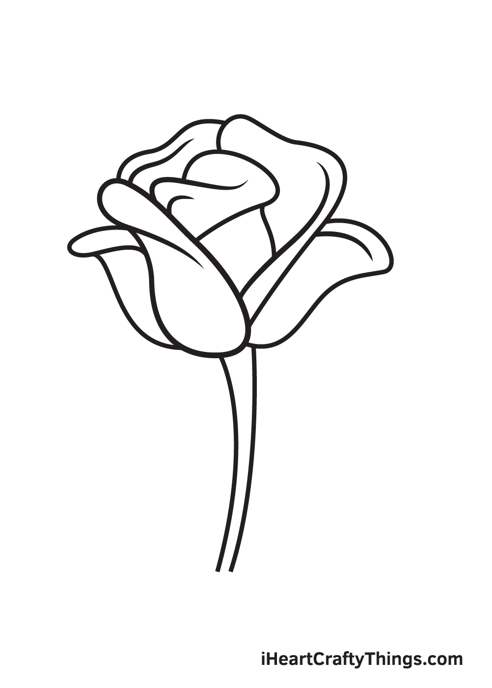 rose drawing step 8