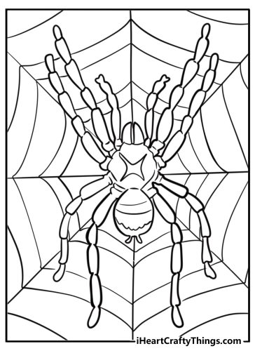 Spider coloring pages
