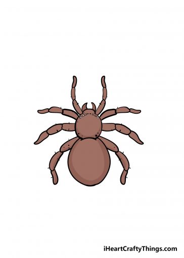 how to draw spider image