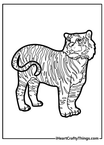 Tiger coloring pages