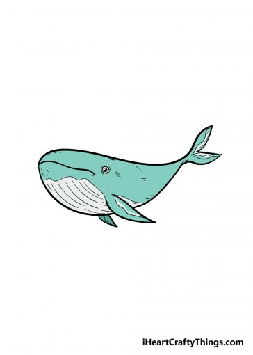 how to draw a whale image